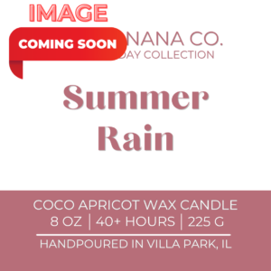 Summer Rain 8 oz Candle l The Everyday Collection