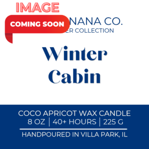 Winter Cabin 8 oz Candle l The Winter Collection