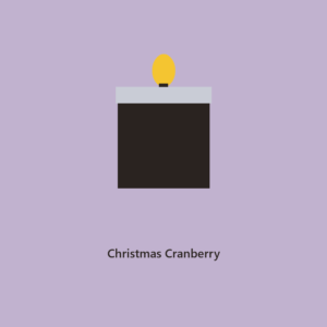 Christmas Cranberry 9 oz Candle l Holiday 2026 Collection