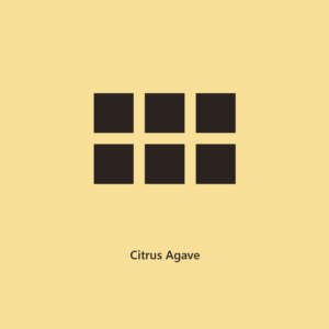 Citrus Agave 3 oz Soy Wax Melt l The Everyday Collection