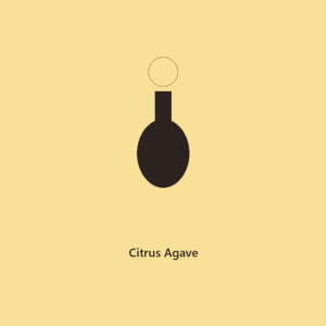 Citrus Agave Long Lasting Car Diffuser l The Everyday Collection