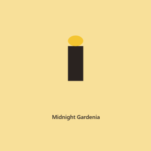 Midnight Gardenia Rollerball Perfume Oil l The Everyday Collection