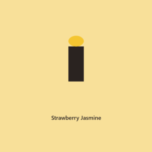 Strawberry Jasmine Rollerball Perfume Oil l The Everyday Collection