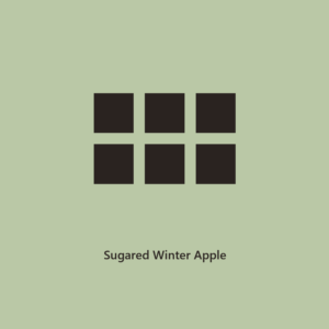 Sugared Winter Apple 3 oz Soy Wax Melt l The Winter Collection