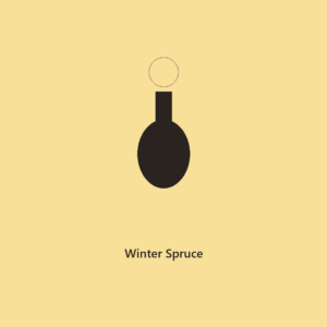 Winter Spruce Long Lasting Car Diffuser l The Everyday Collection
